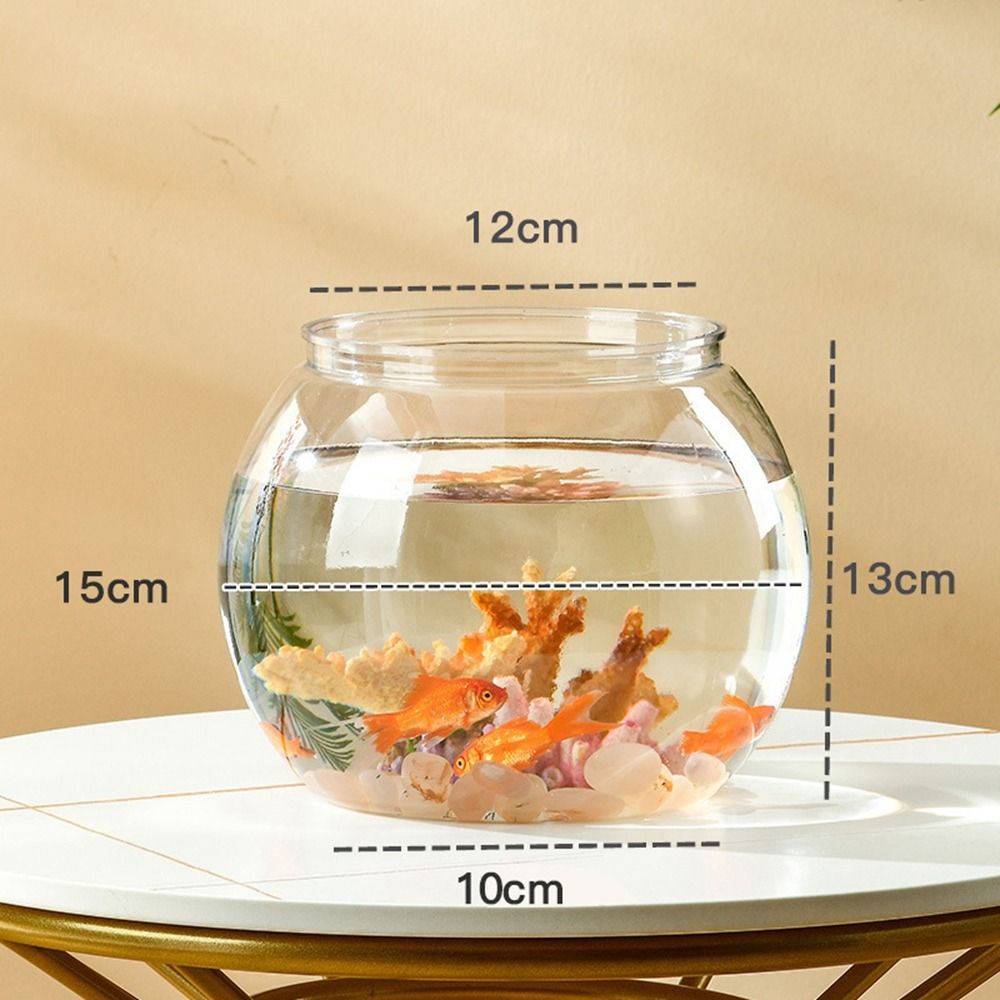 Aquarium Fish In Bowl - حوض سمك دائري شفاف للديكور المنزلي،