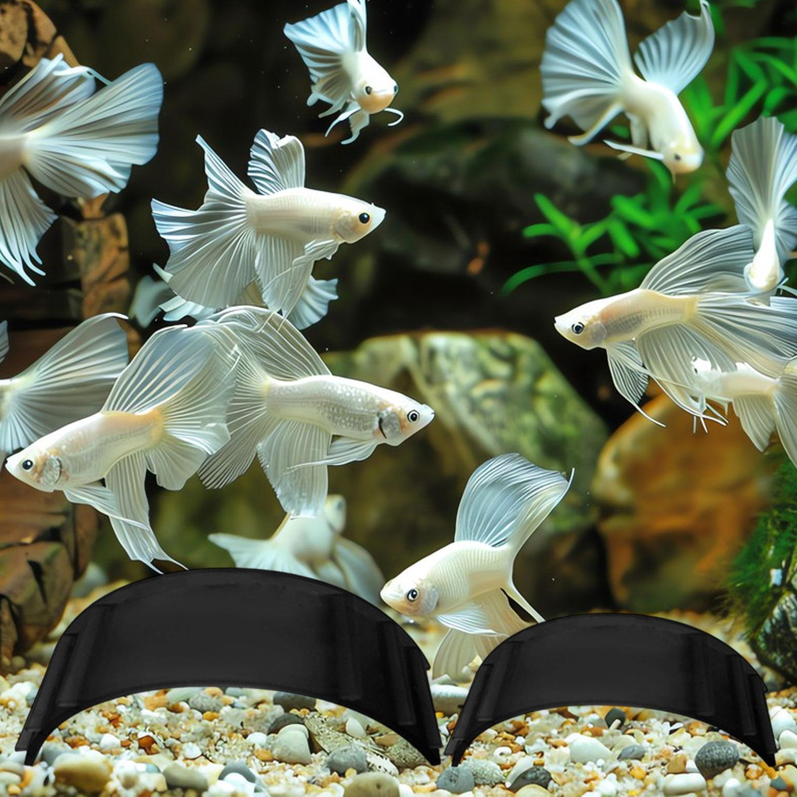 Aquarium Fish In Bowl - قطعتان من كهوف النفق تحت الأرض