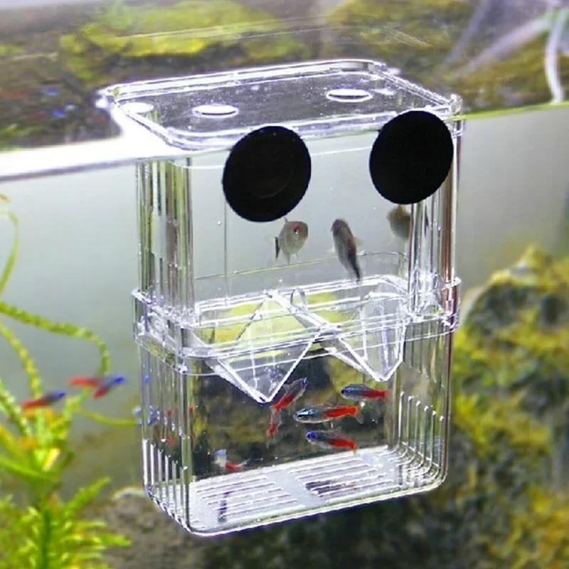 Aquarium Fish In Bowl - حوض السمك الشفاف، صندوق عزل تربية