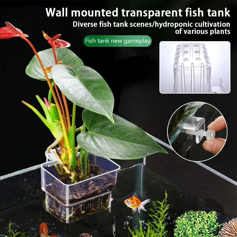 Aquarium Fish Background - أكواب زرع معلقة للأحواض المائية، حامل