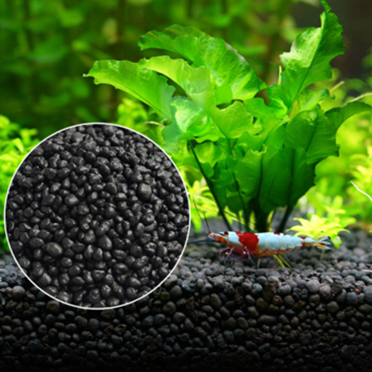 Aquarium Fish Background - نباتات أحواض السمك ، التربة ،