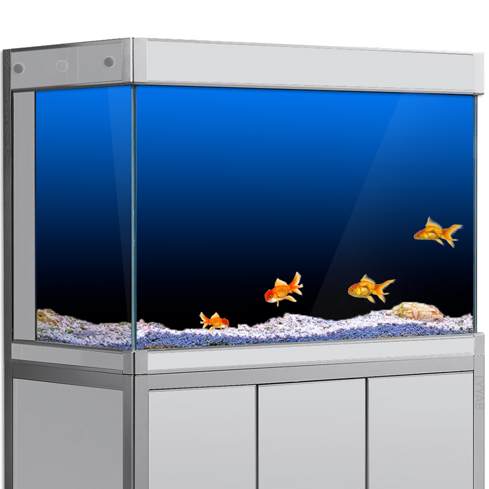 Aquarium Fish Background - ملصق خلفية لخزان الأسماك أسود أخضر