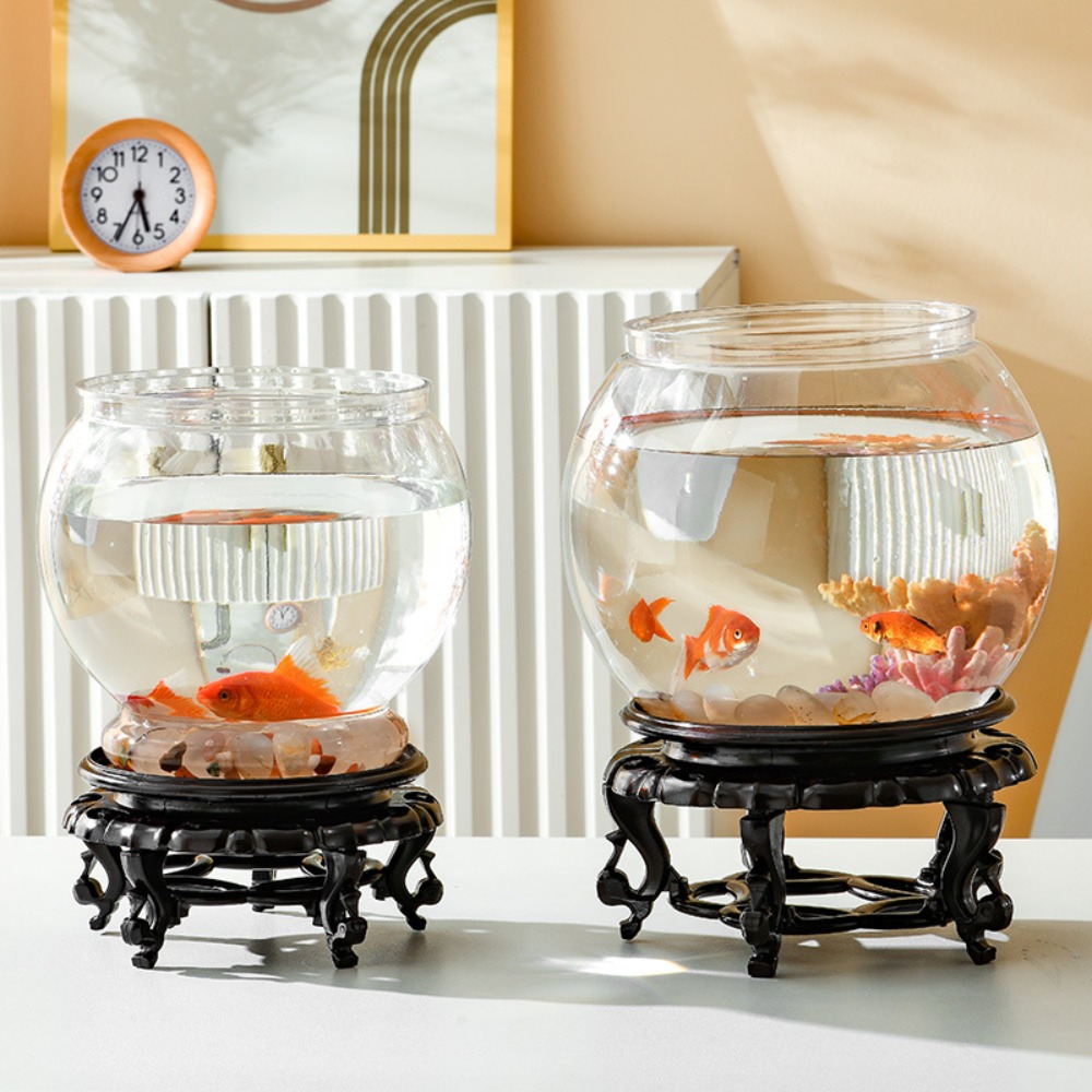 حوض سمك دائري شفاف للديكور الم - مراجعة Aquarium Fish In Bowl وسعره