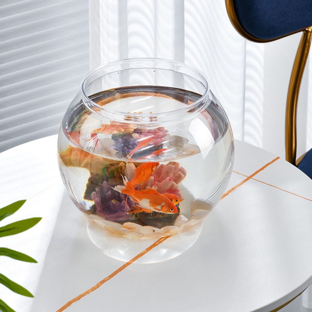 حوض سمك دائري شفاف للديكور الم - مراجعة Aquarium Fish In Bowl وسعره