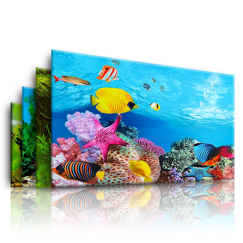 خلفية لحوض السمك ثلاثية الأبعا - مراجعة Aquarium Fish Background وسعره