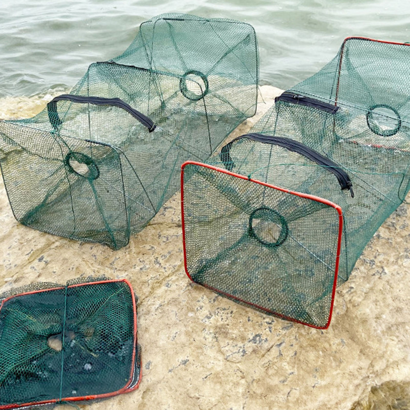 شبكة صيد قابلة للطي، قفص أسماك - مراجعة Aquarium Fish Trap وسعره