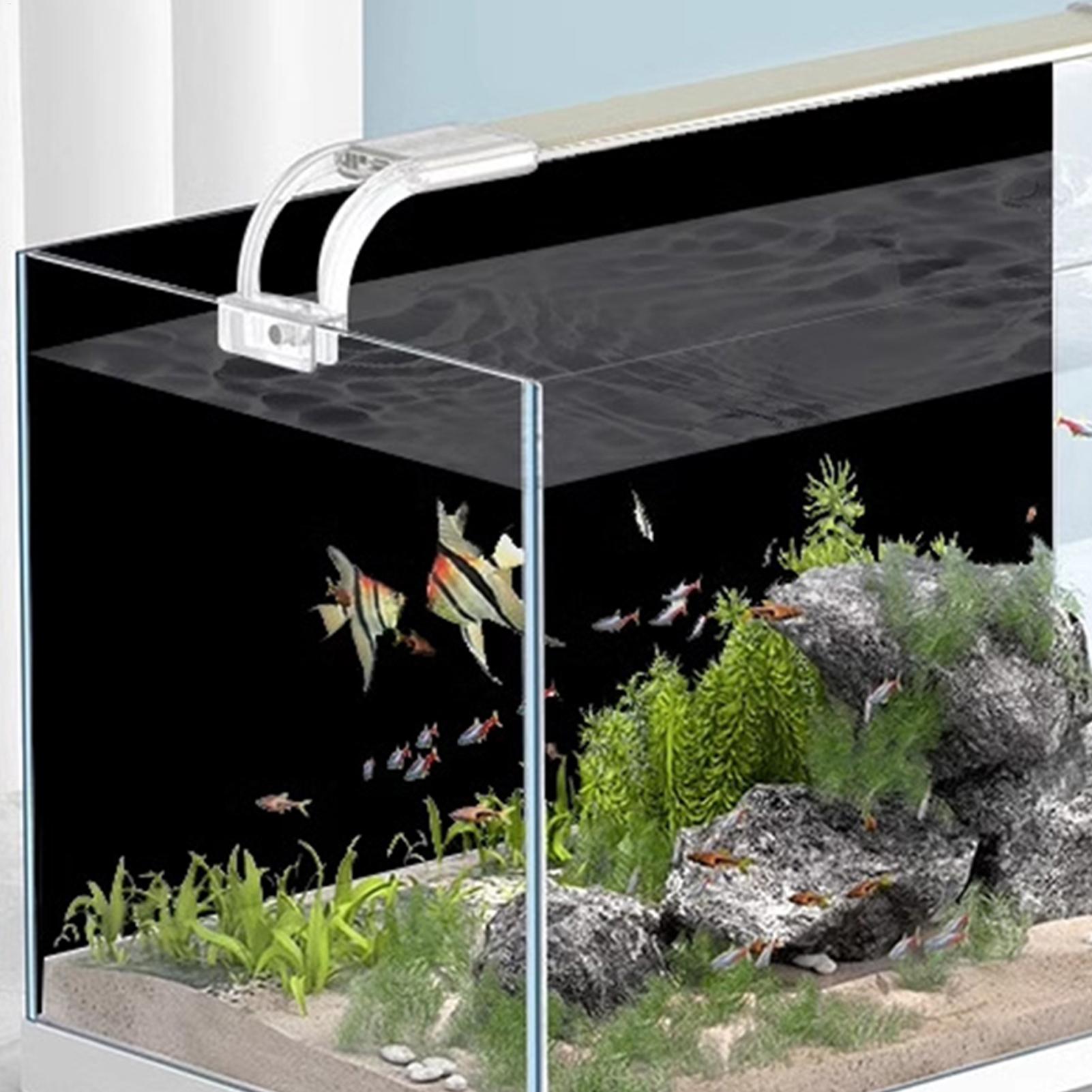 خلفية حوض السمك السوداء من الب - مراجعة Aquarium Fish Background وسعره