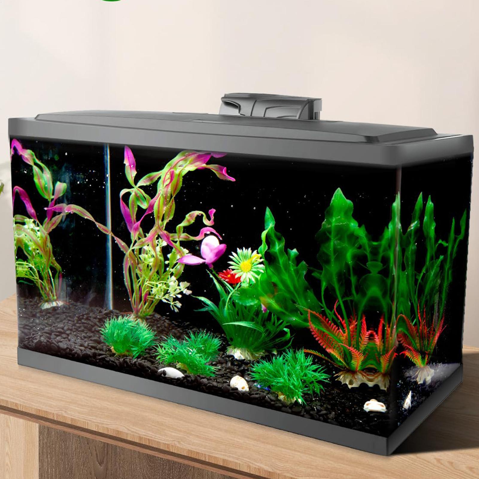 خلفية حوض السمك السوداء من الب - مراجعة Aquarium Fish Background وسعره