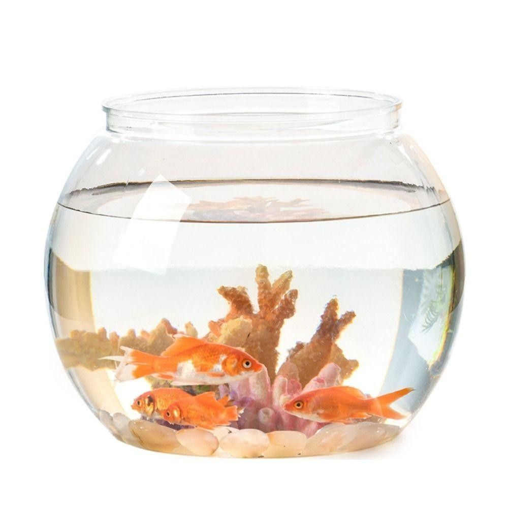 حوض أسماك شفاف محمول دائري من  - مراجعة Aquarium Fish In Bowl وسعره