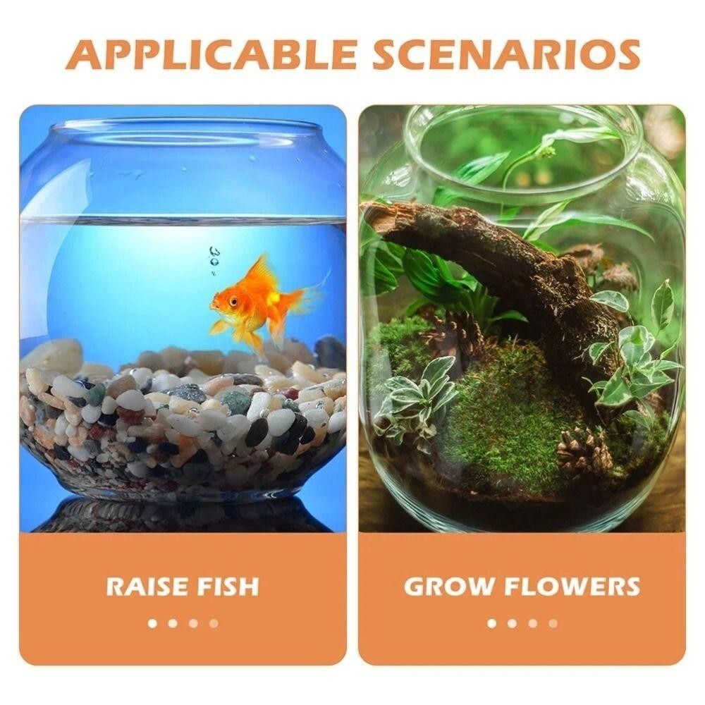 حوض أسماك شفاف محمول دائري من  - مراجعة Aquarium Fish In Bowl وسعره