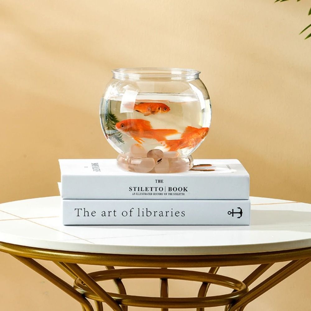 حوض أسماك شفاف محمول دائري من  - مراجعة Aquarium Fish In Bowl وسعره