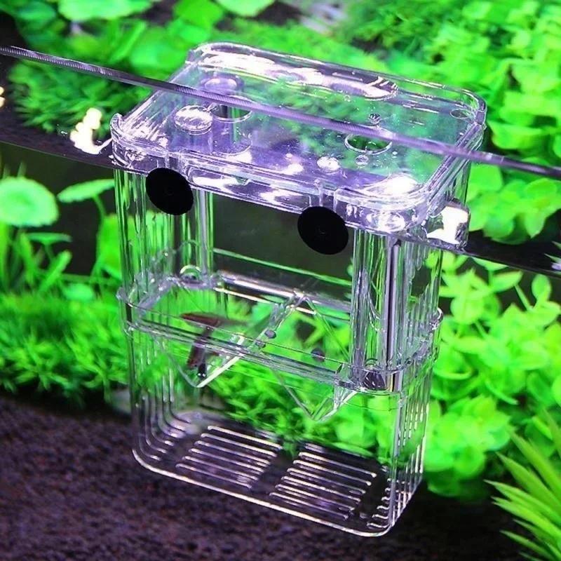 حوض السمك الشفاف، صندوق عزل تر - مراجعة Aquarium Fish In Bowl وسعره