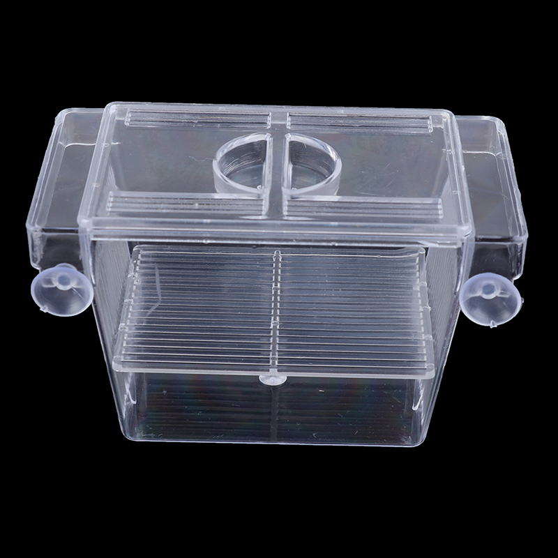 حوض السمك حوض للأسماك جرو تربي - مراجعة Aquarium Fish Trap وسعره