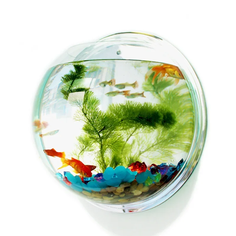 Pinsjar وعاء السمك الأكريليك ا - مراجعة Aquarium Fish In Bowl وسعره