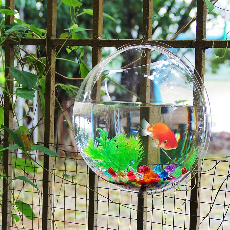 Pinsjar وعاء السمك الأكريليك ا - مراجعة Aquarium Fish In Bowl وسعره