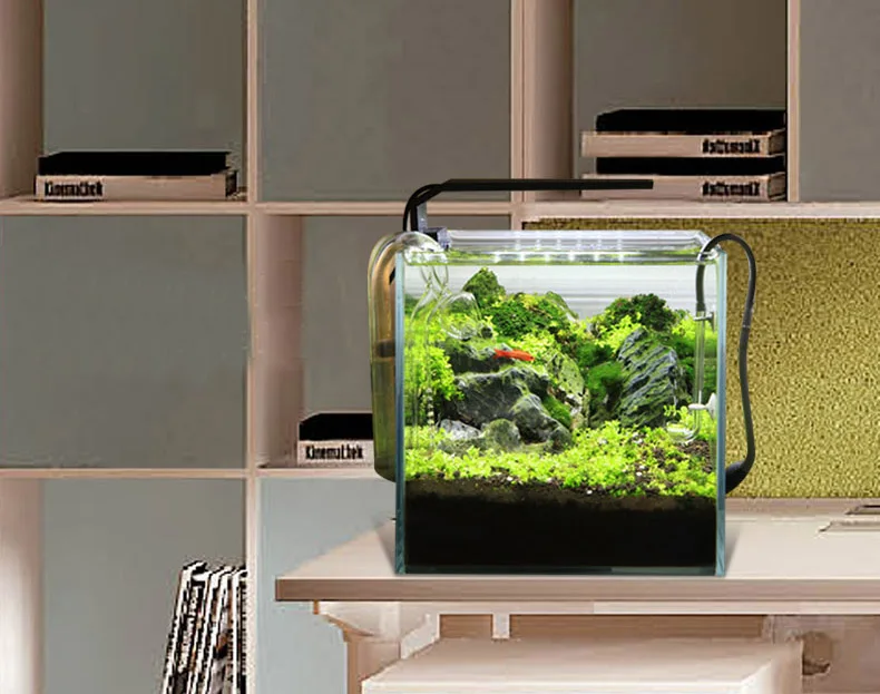 Chihiros C Series ADA Style Pl - مراجعة Aquarium Fish Background وسعره