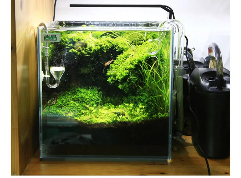 Chihiros C Series ADA Style Pl - مراجعة Aquarium Fish Background وسعره