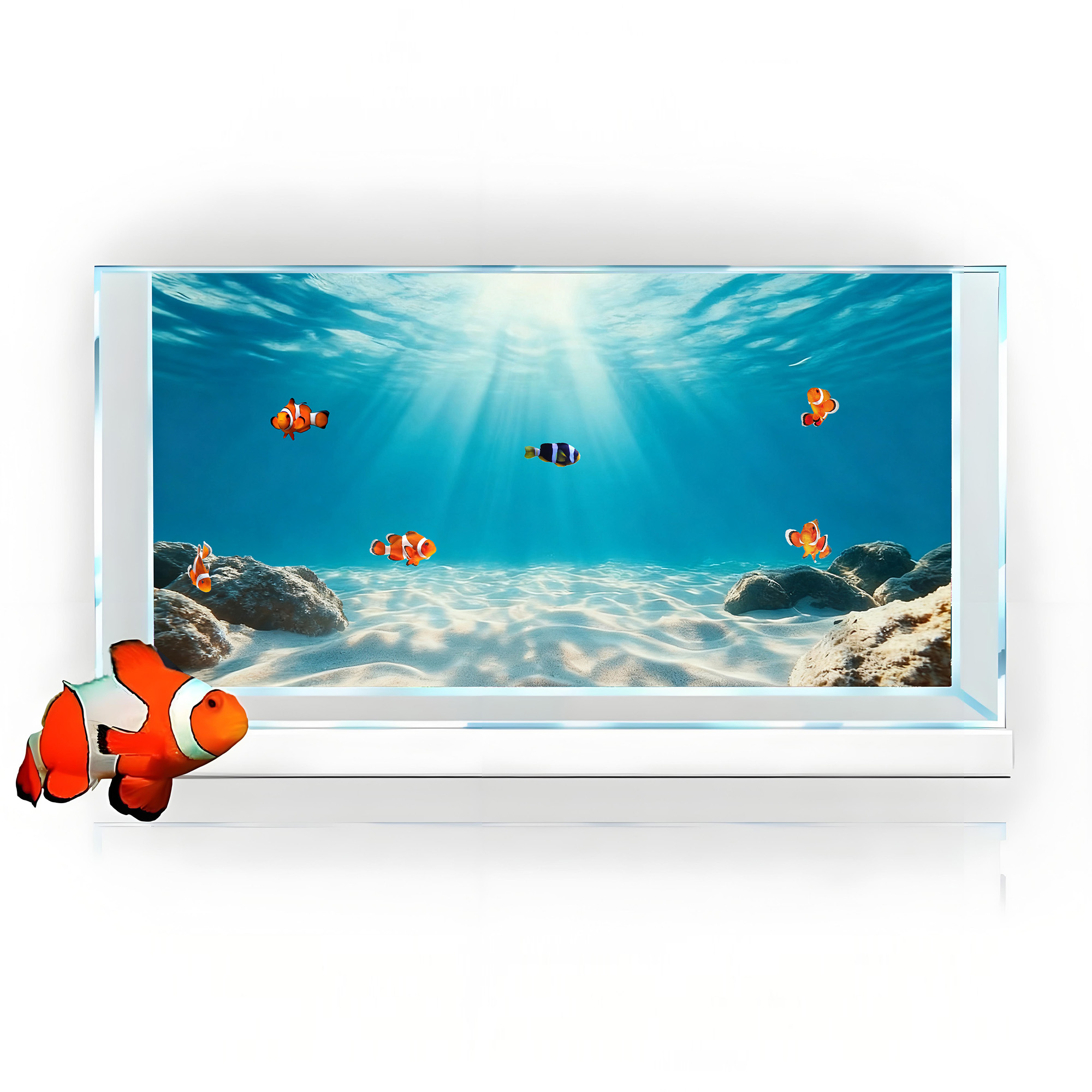 رمل بحري أزرق شفاف، لوحة خلفية - مراجعة Aquarium Fish Background وسعره