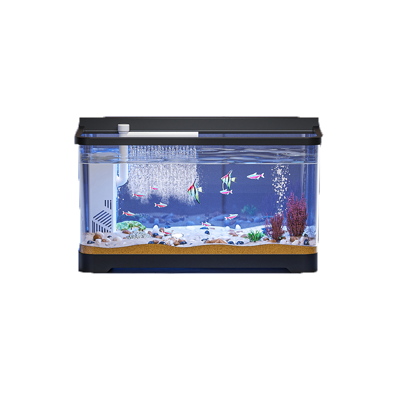خزان أسماك صغير مجموعة بداية ح - مراجعة Aquarium Fish In Bowl وسعره