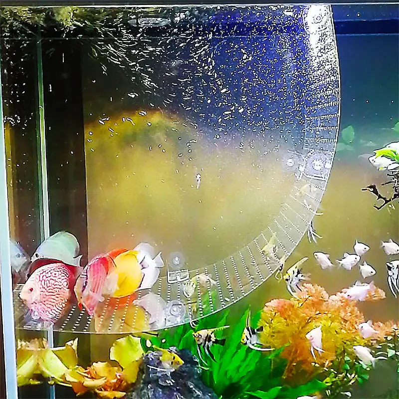 انحناء الحاجز المناسب خزان الأ - مراجعة Aquarium Fish Background وسعره