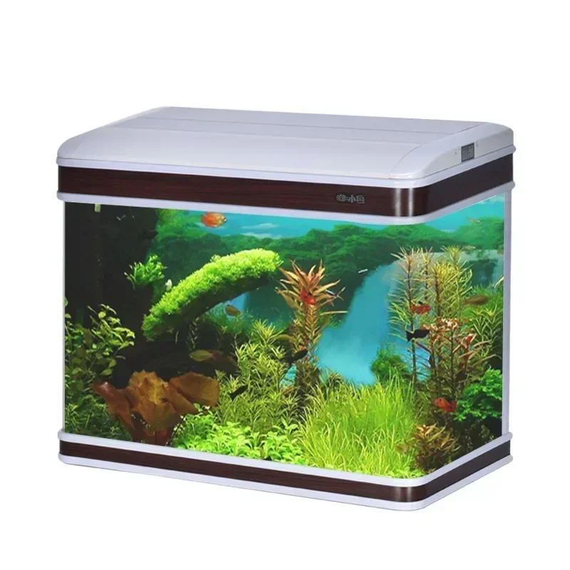 المهنية حوض السمك المورد حوض ا - مراجعة Aquarium Fish Supplier وسعره