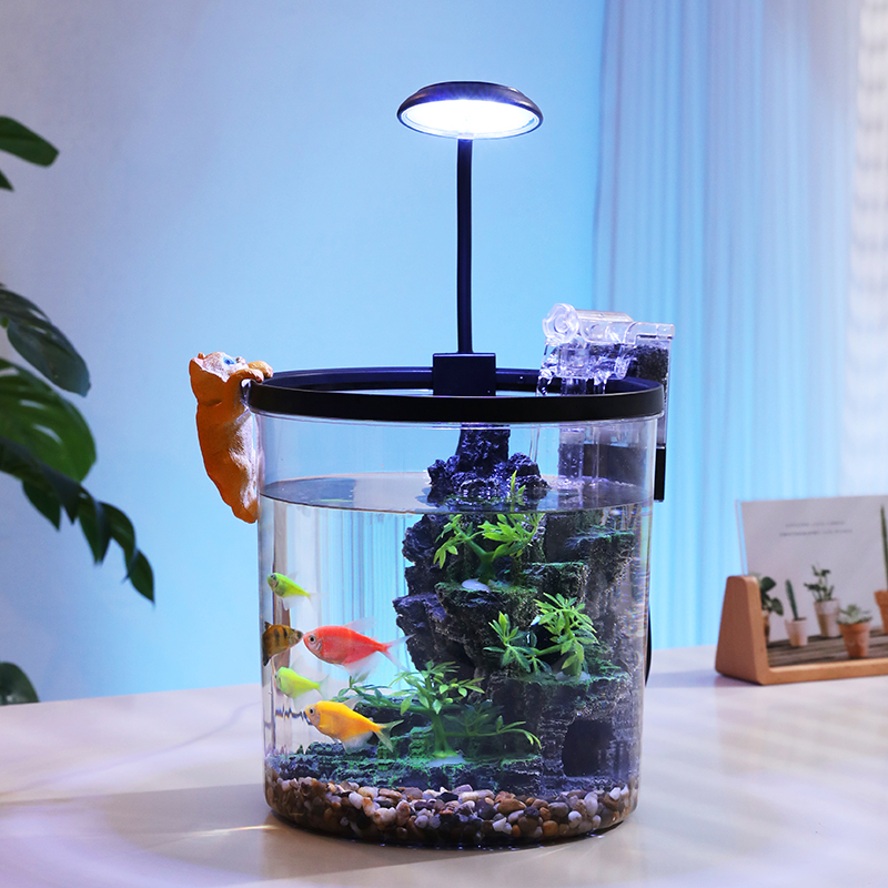 وعاء ذهبي مستدير مدمج - حوض ال - مراجعة Aquarium Fish In Bowl وسعره