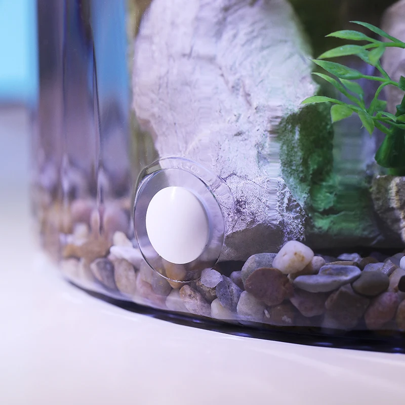 وعاء ذهبي مستدير مدمج - حوض ال - مراجعة Aquarium Fish In Bowl وسعره