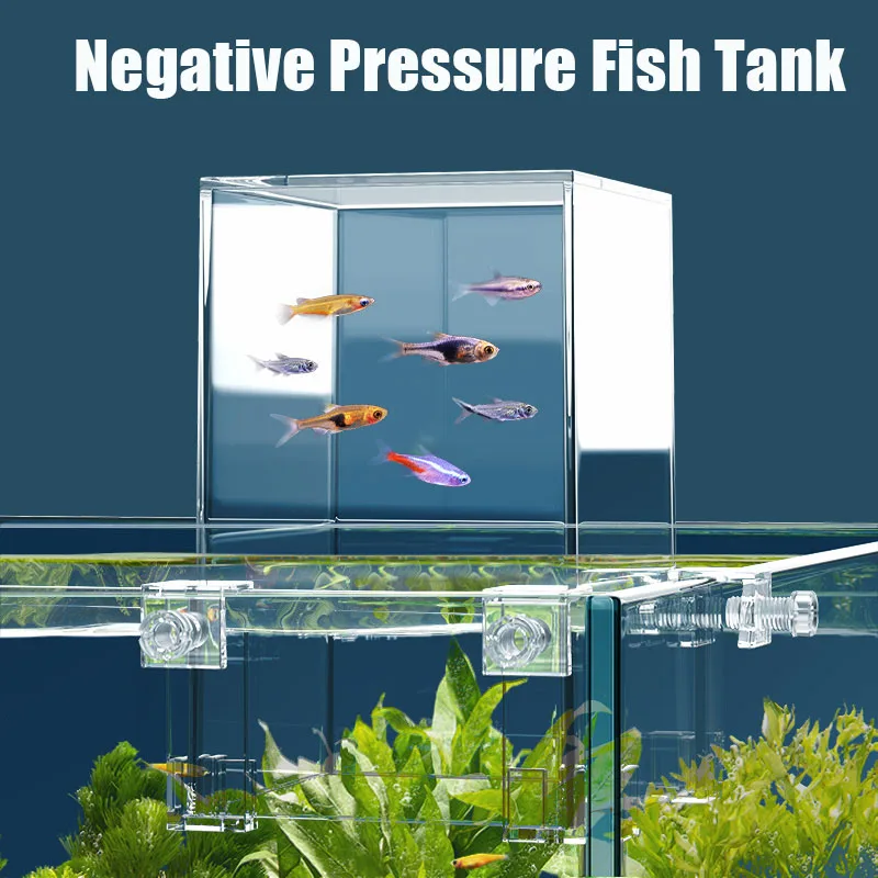 حوض السمك بالضغط السلبي للأسما - مراجعة Aquarium Fish In Bowl وسعره