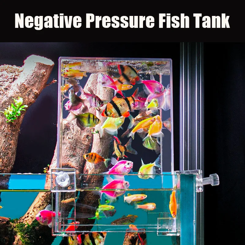 حوض السمك بالضغط السلبي للأسما - مراجعة Aquarium Fish In Bowl وسعره