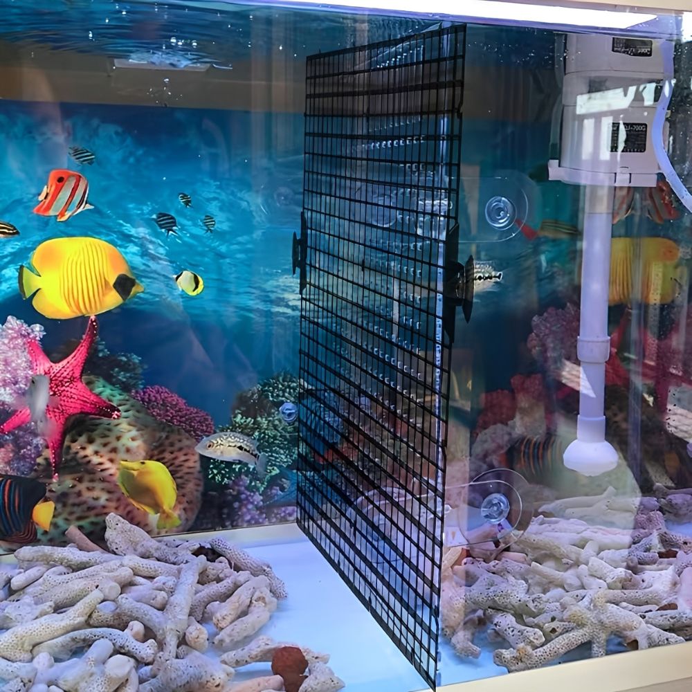 14 قطعة شبكة بلاستيكية سوداء ل - مراجعة Aquarium Fish Elevator وسعره