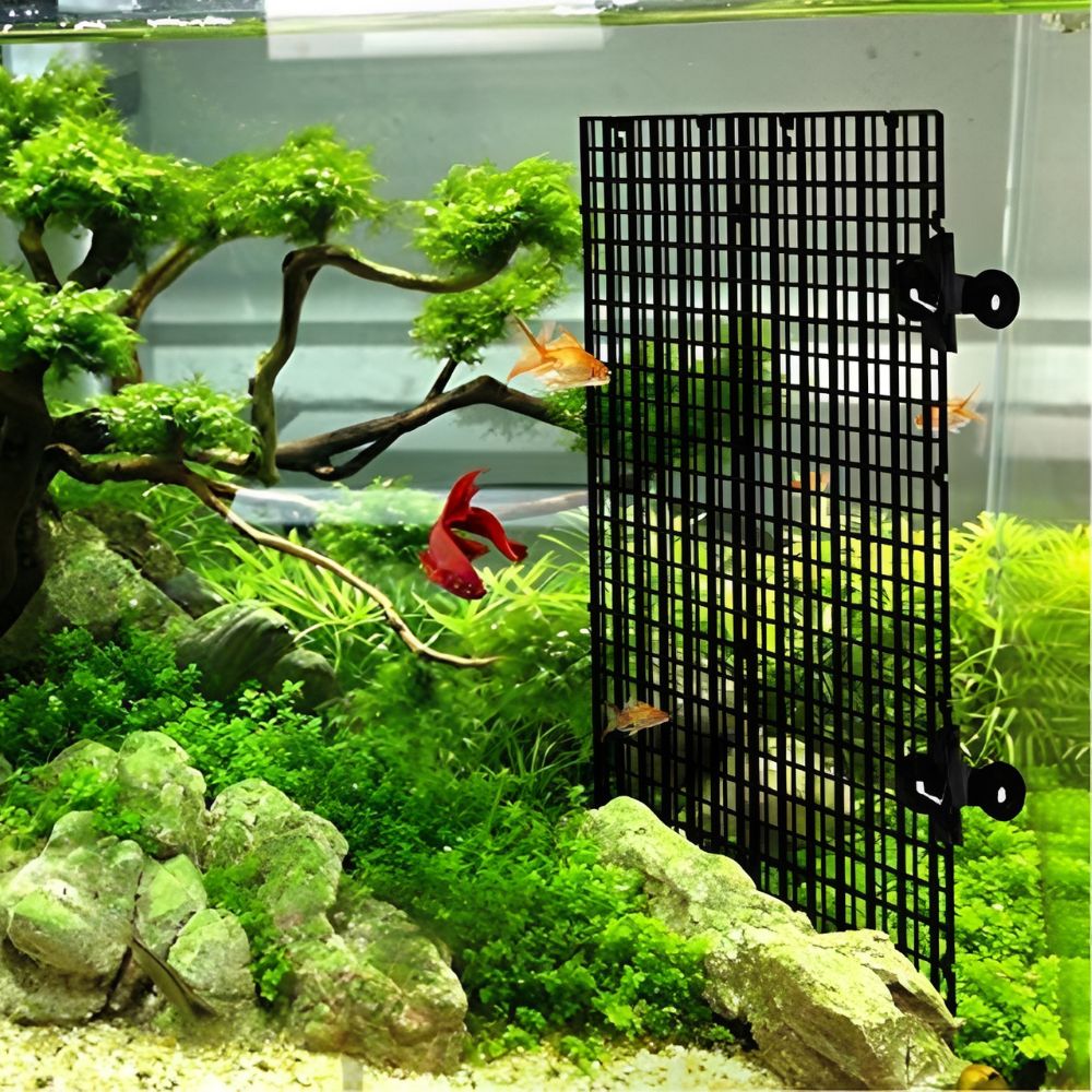 14 قطعة شبكة بلاستيكية سوداء ل - مراجعة Aquarium Fish Elevator وسعره