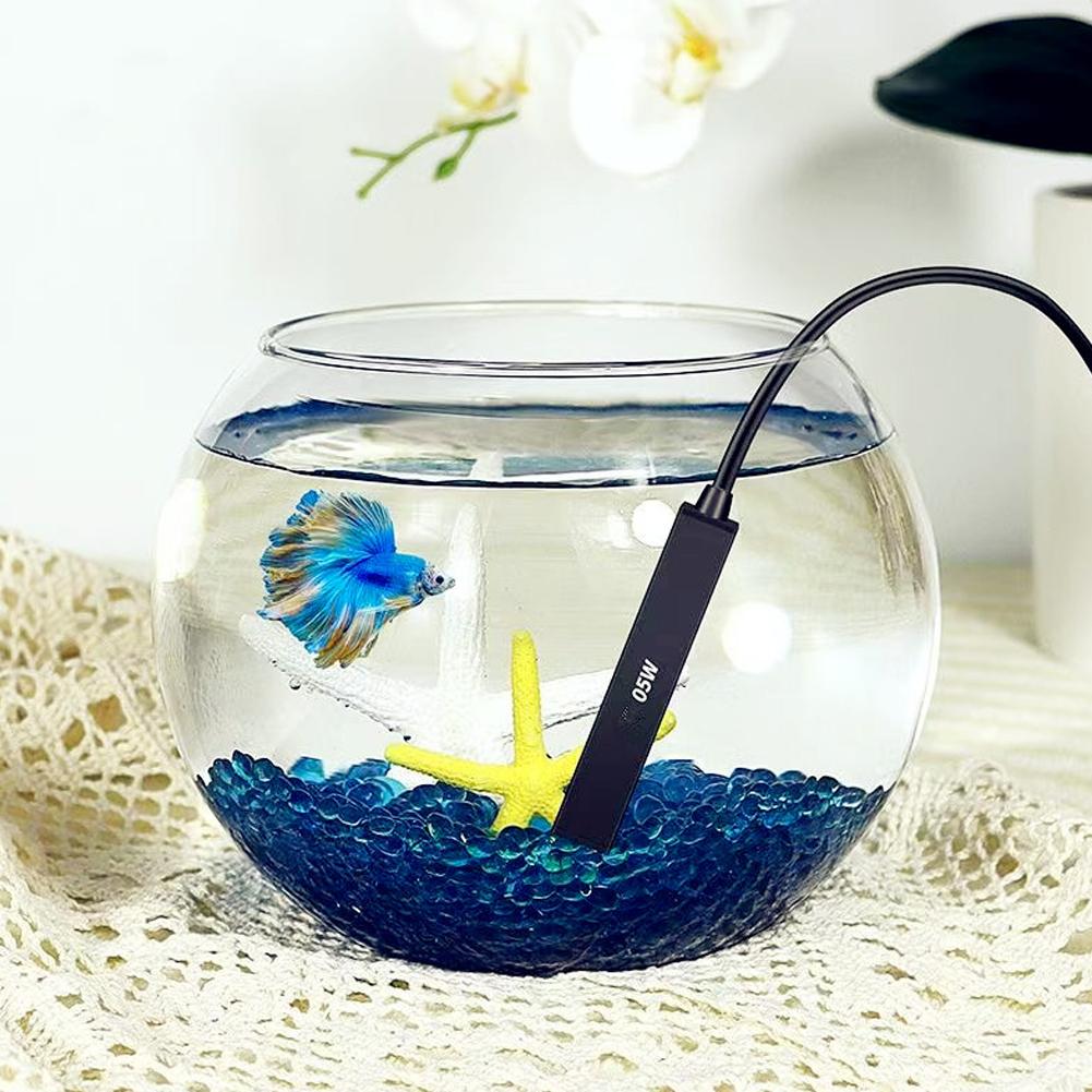 سخان حوض أسماك صغير يعمل بمنفذ - مراجعة Aquarium Fish In Bowl وسعره