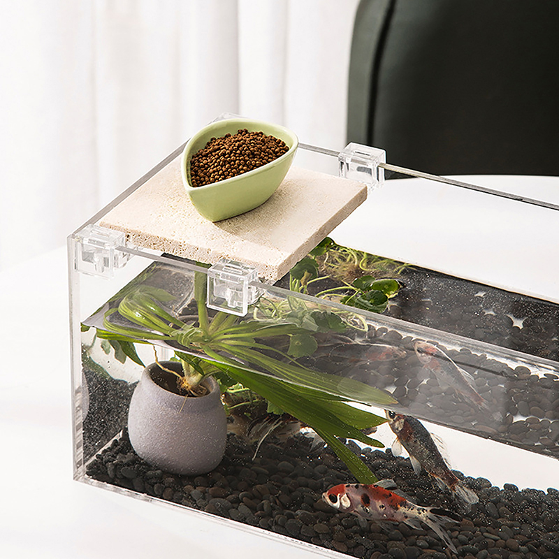 مشابك أكريليك لغطاء الأسماك ،  - مراجعة Aquarium Fish Elevator وسعره
