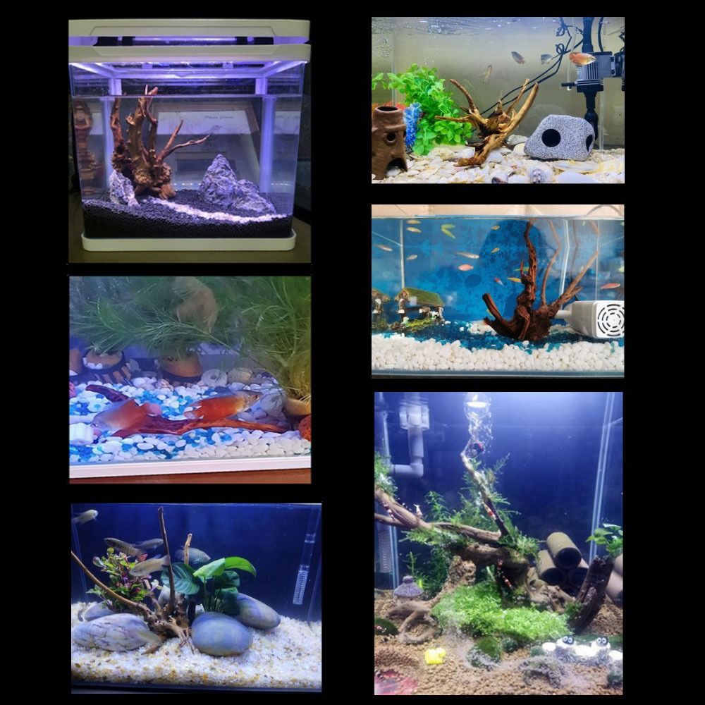 خشب عائم طبيعي كبير لحوض السمك - مراجعة Aquarium Fish Background وسعره
