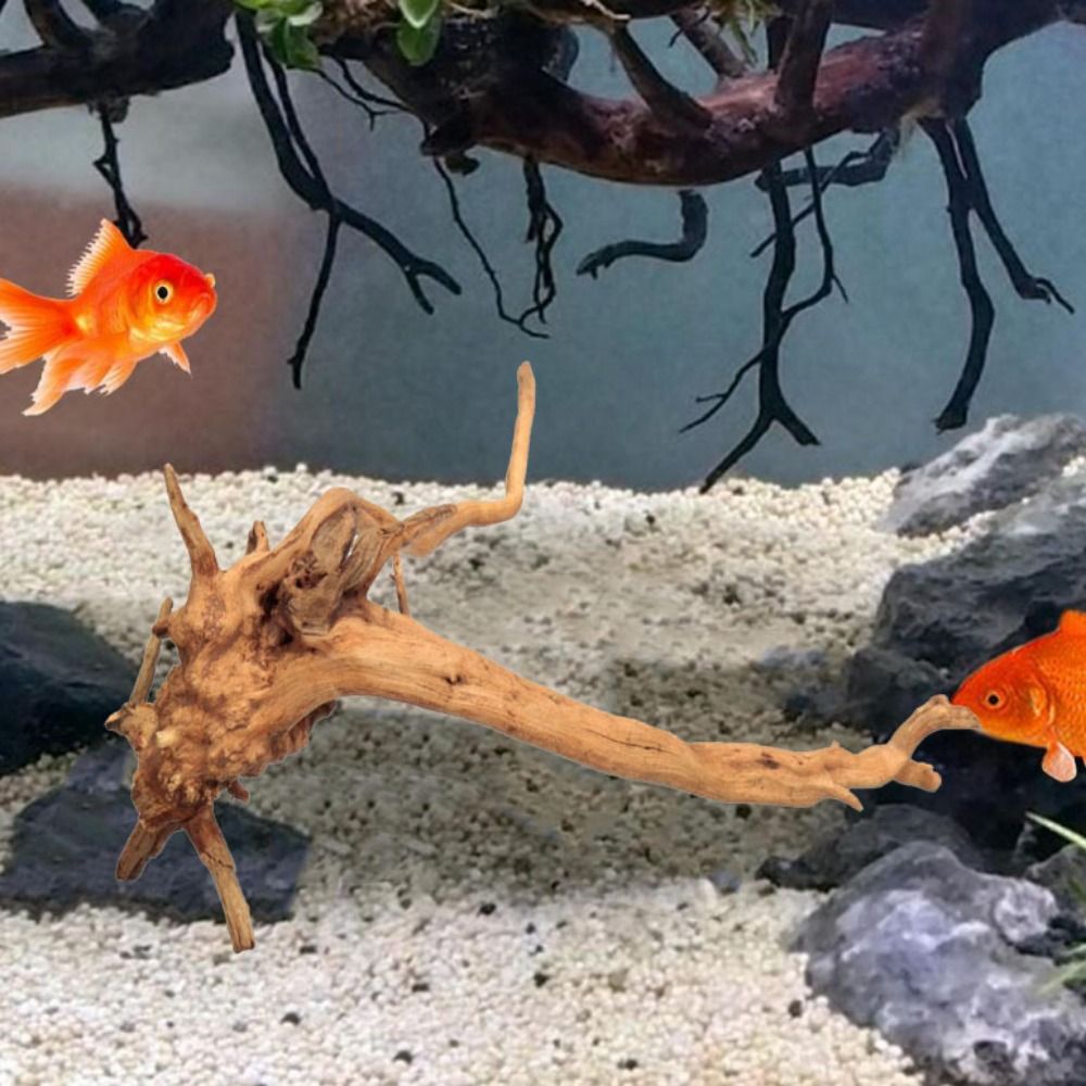 خشب عائم طبيعي كبير لحوض السمك - مراجعة Aquarium Fish Background وسعره