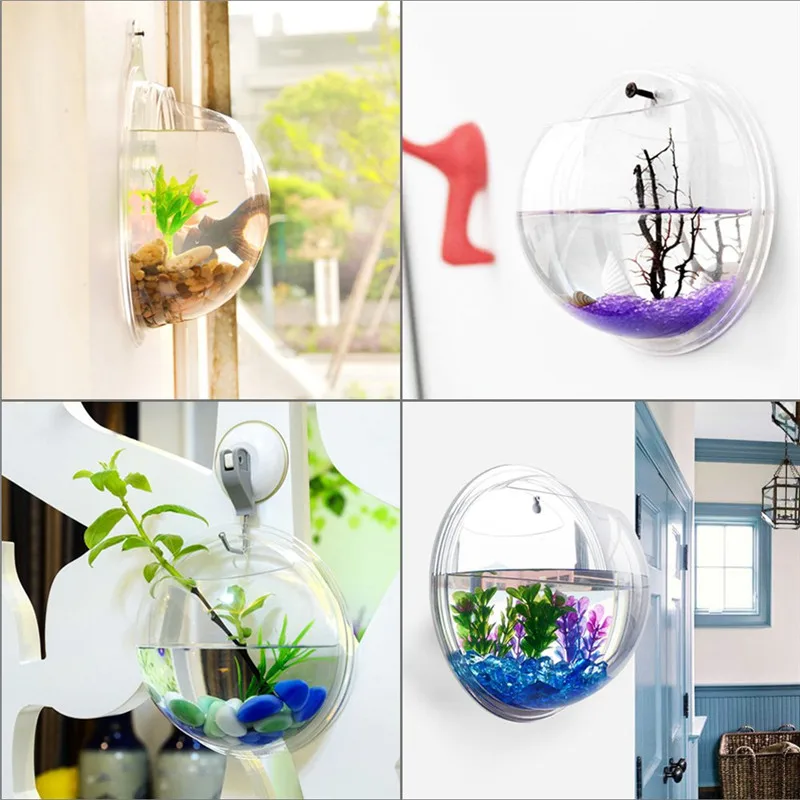 وعاء أكريليك معلق على الحائط ل - مراجعة Aquarium Fish In Bowl وسعره