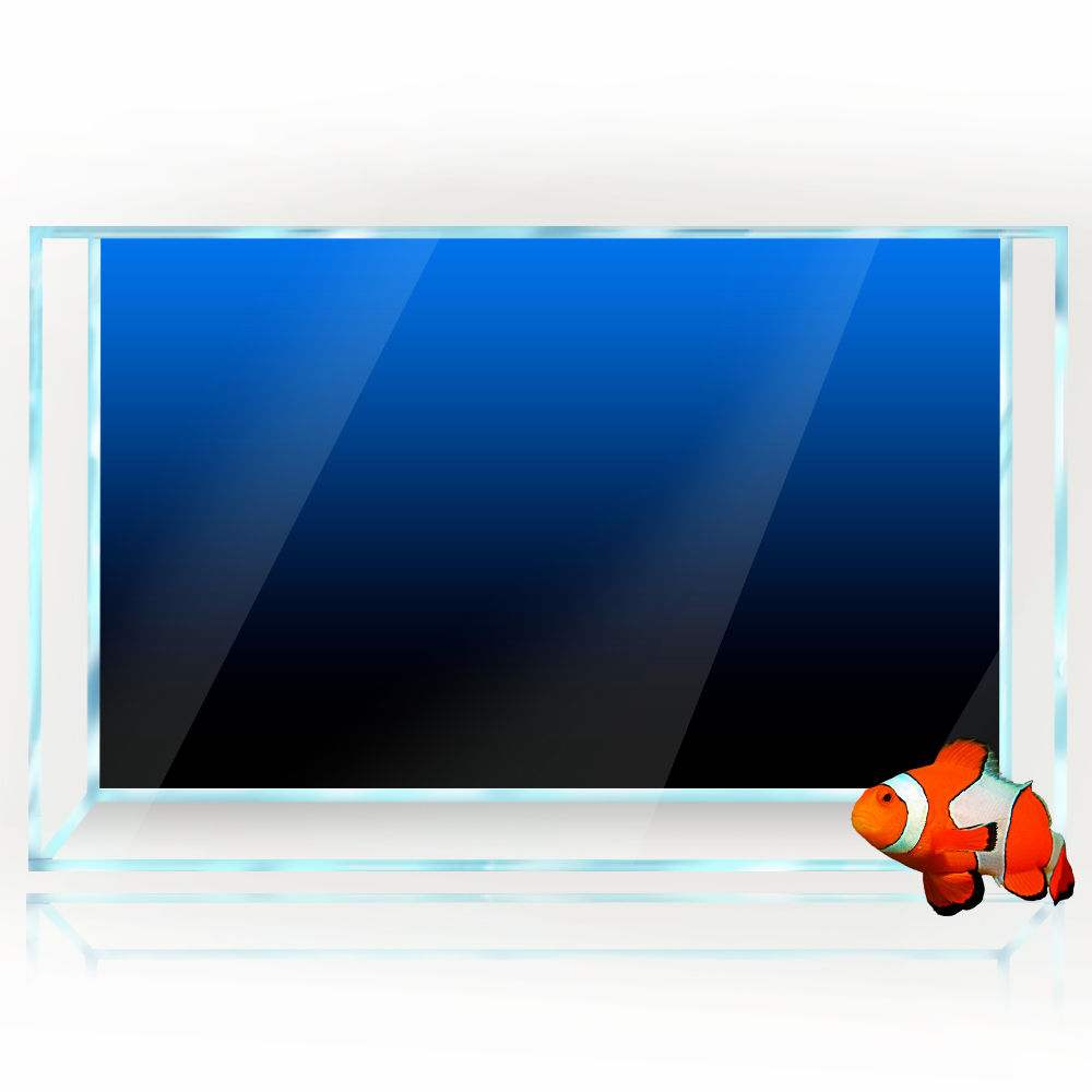 ملصق خلفية لخزان الأسماك أسود  - مراجعة Aquarium Fish Background وسعره