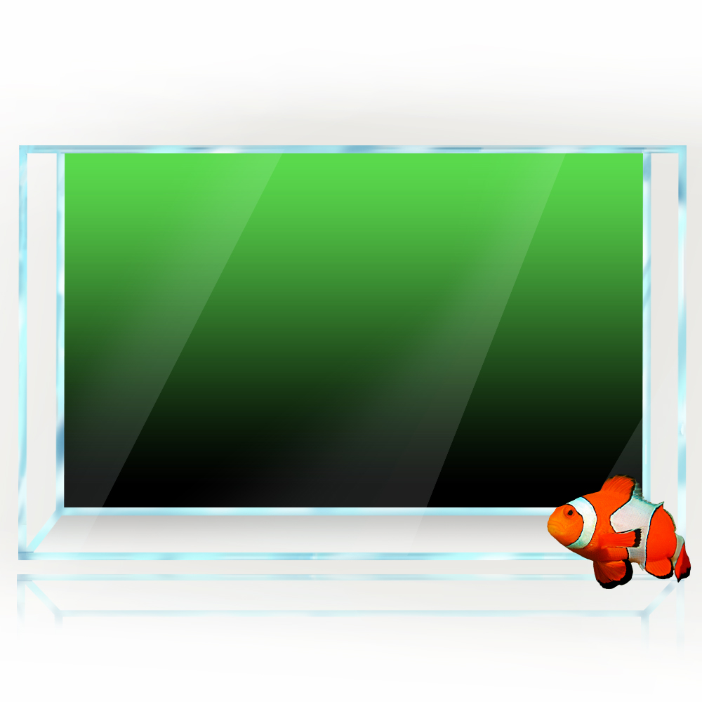 ملصق خلفية لخزان الأسماك أسود  - مراجعة Aquarium Fish Background وسعره