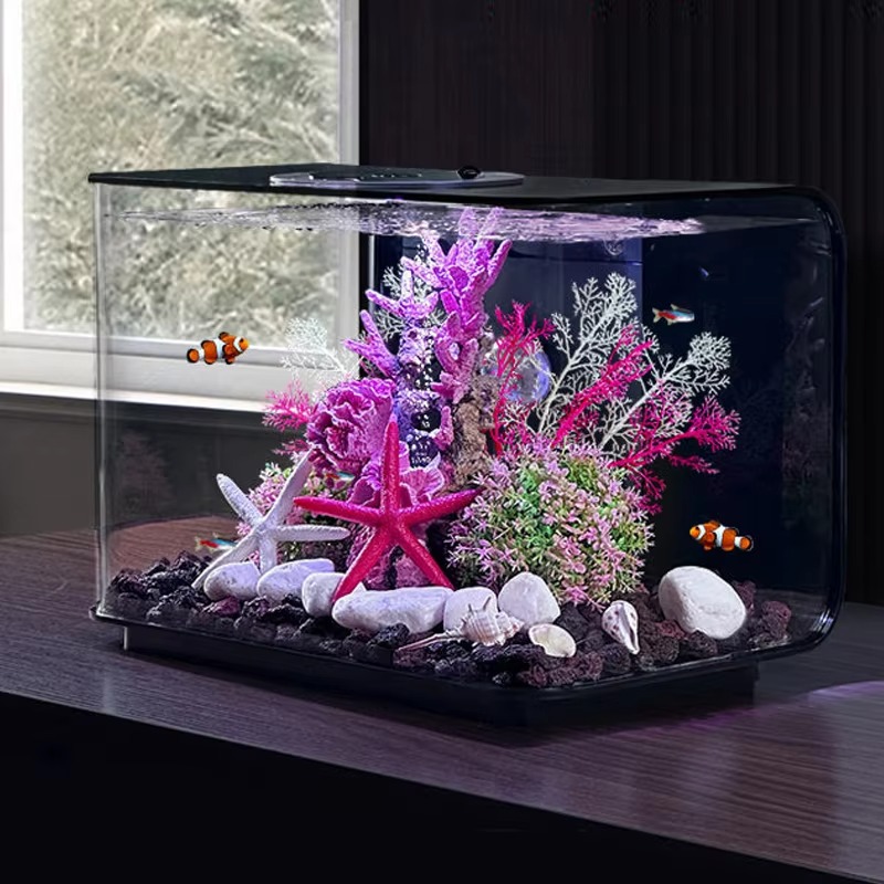 حوض سمك صغير لغرفة المعيشة، حو - مراجعة Aquarium Fish Supplier وسعره