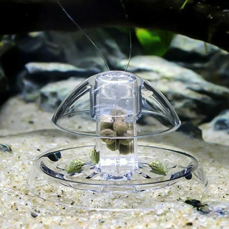 مصيدة دود الأحواض الشفافة، أدا - مراجعة Aquarium Fish Trap وسعره