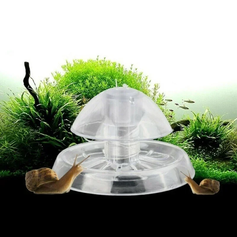 مصيدة دود الأحواض الشفافة، أدا - مراجعة Aquarium Fish Trap وسعره