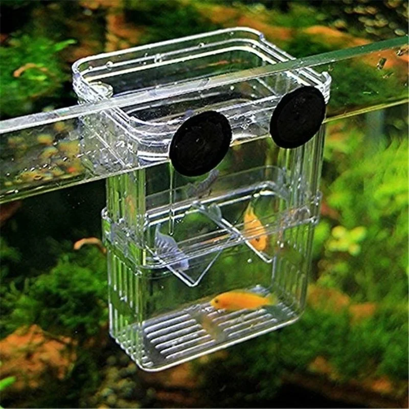 حوض أسماك متعدد الوظائف عالي ا - مراجعة Aquarium Fish In Bowl وسعره