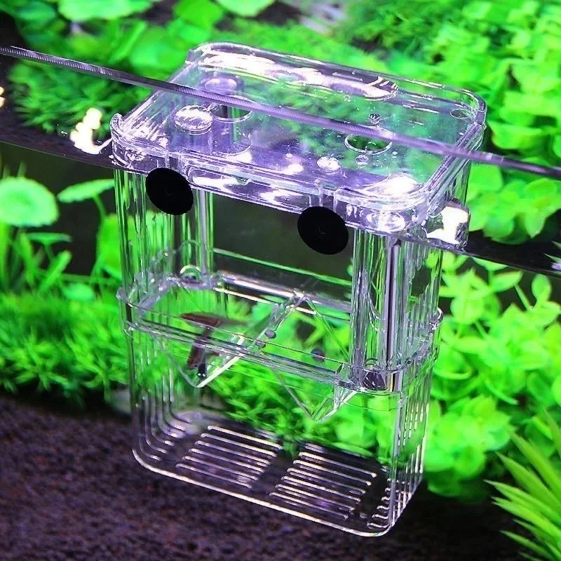 حوض أسماك متعدد الوظائف عالي ا - مراجعة Aquarium Fish In Bowl وسعره