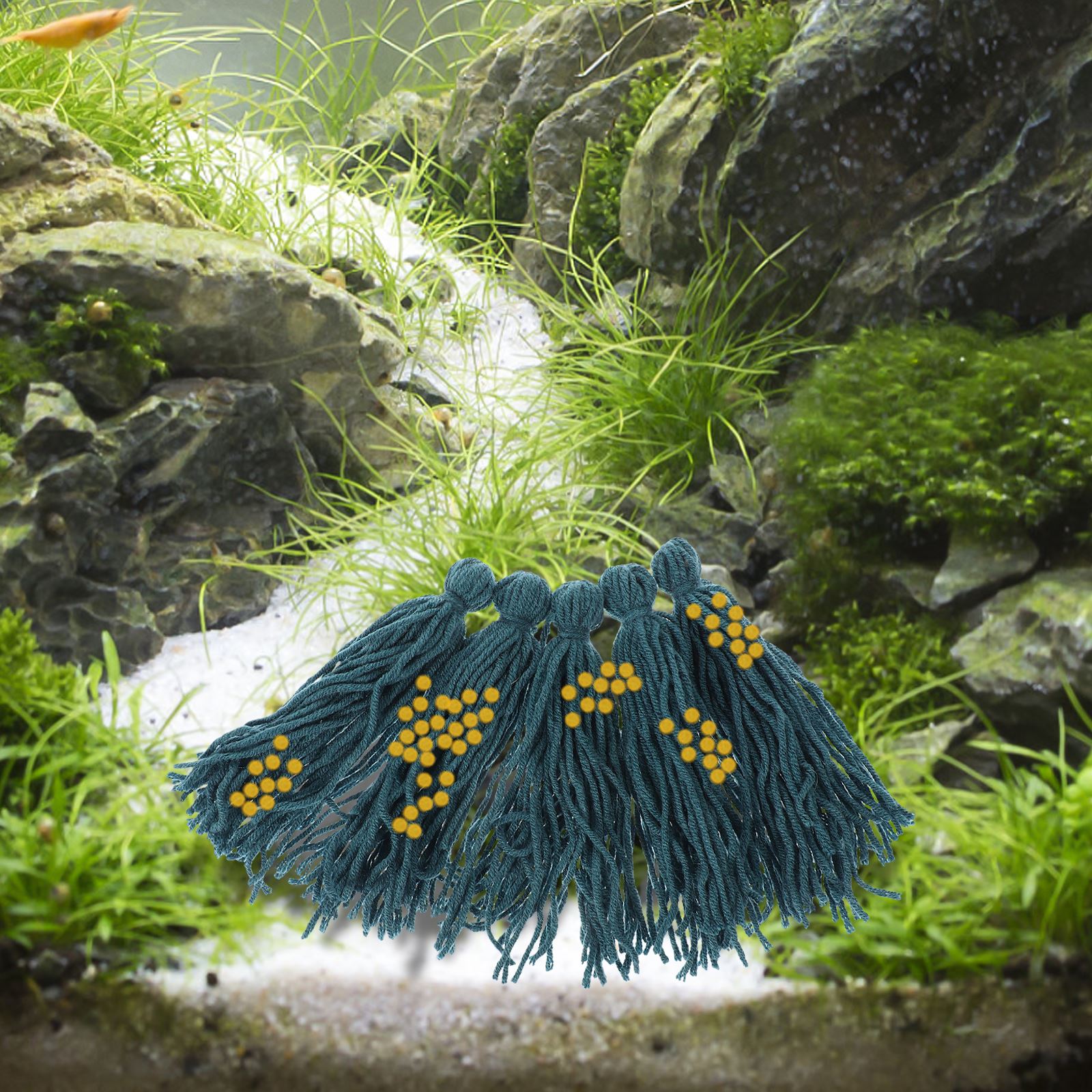 5 قطعة ممسحة التفريخ التفريخ م - مراجعة Aquarium Fish Background وسعره