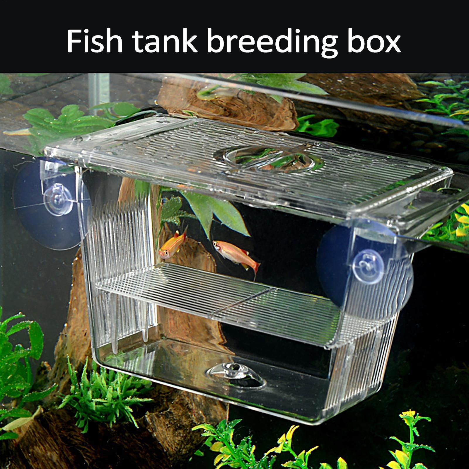 صندوق تربية للأسماك في حوض الس - مراجعة Aquarium Fish In Bowl وسعره