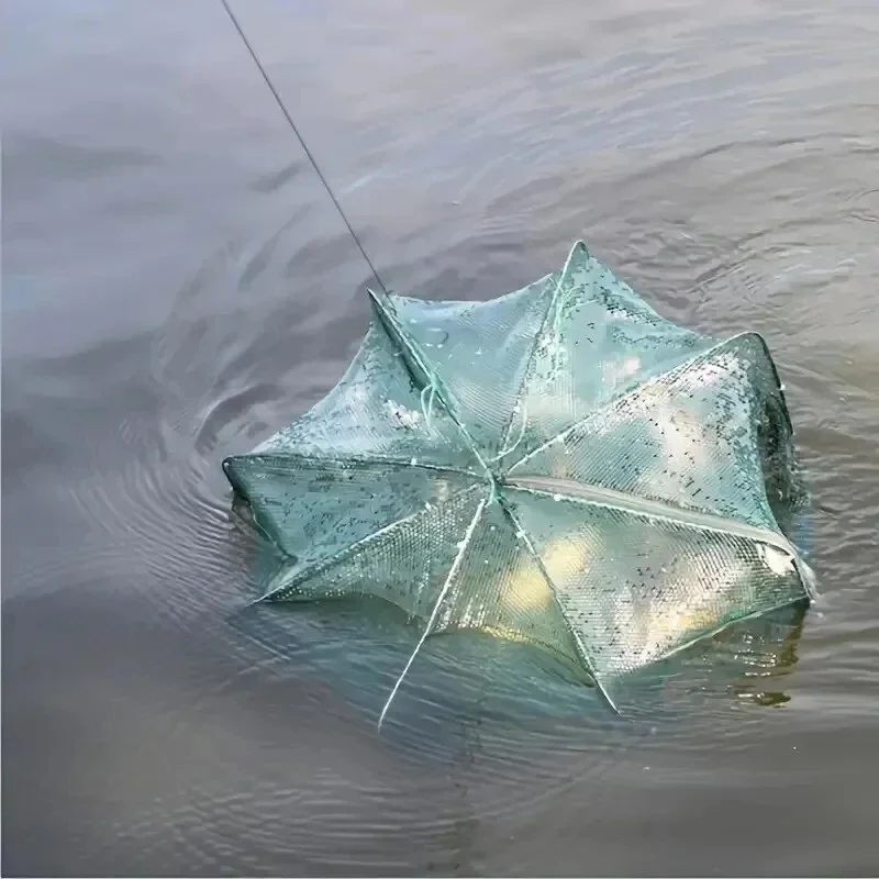 قفص صيد شبكي محمول قابل للطي،  - مراجعة Aquarium Fish Trap وسعره