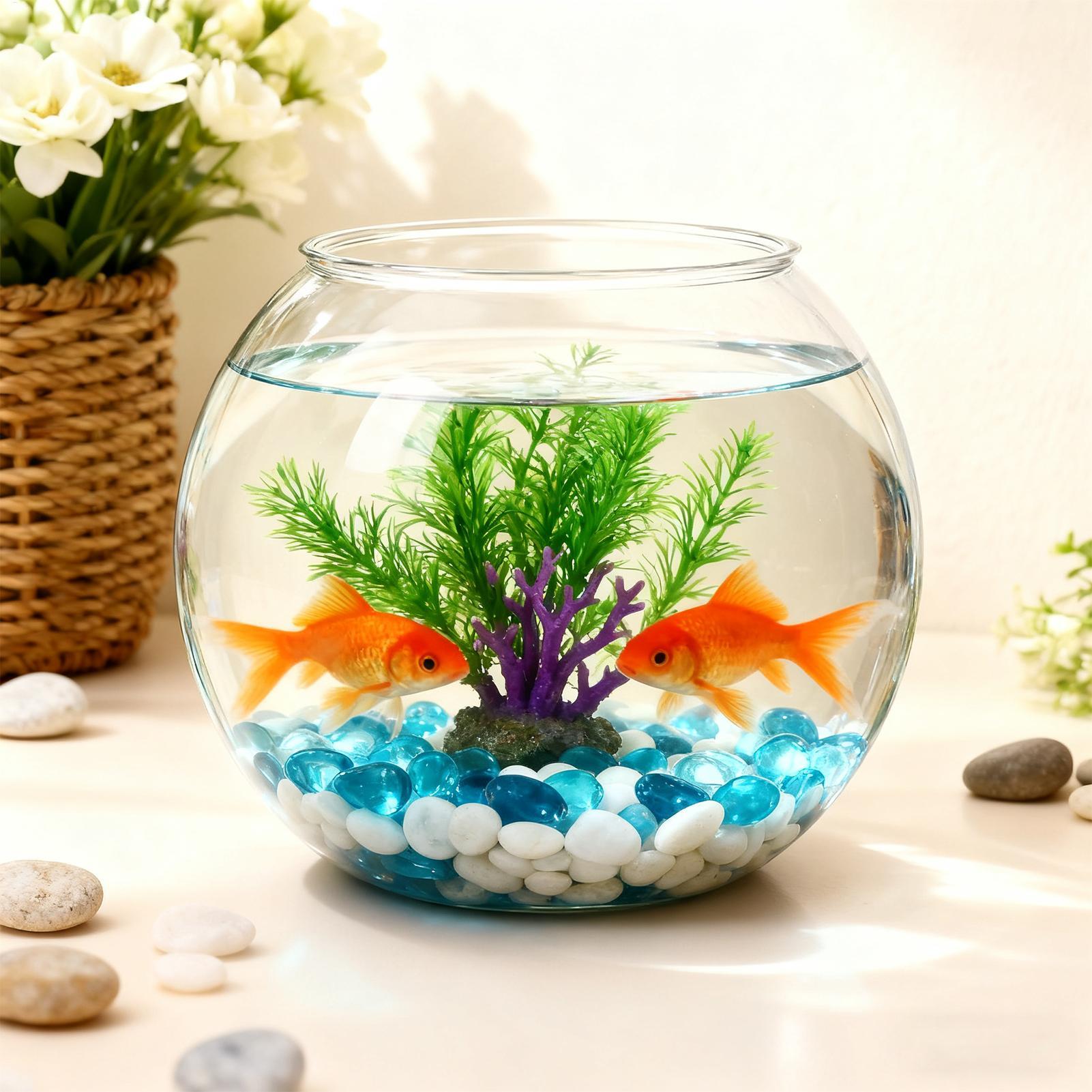 وعاء فقاعات موفر للمساحة، إكسس - مراجعة Aquarium Fish In Bowl وسعره