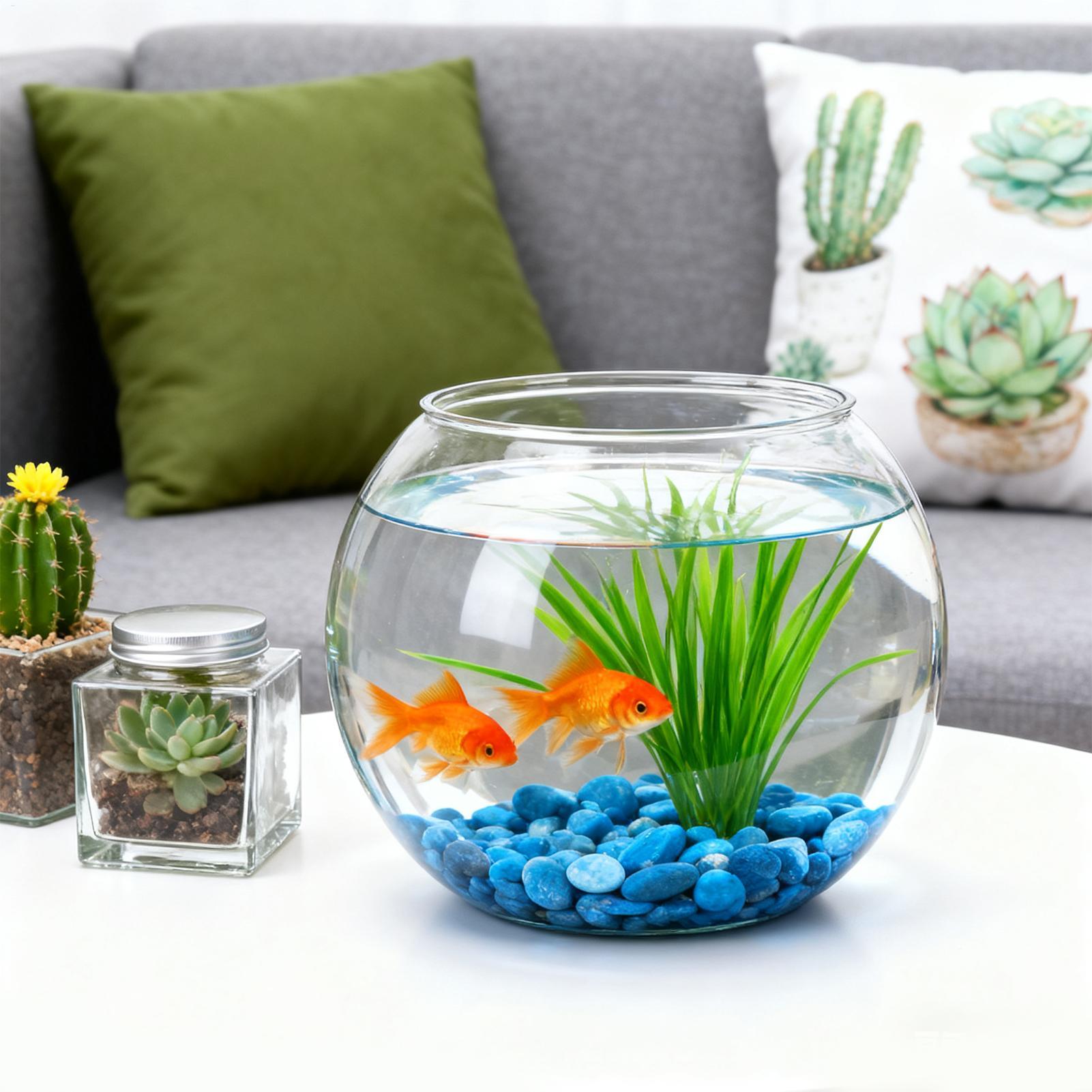 وعاء فقاعات موفر للمساحة، إكسس - مراجعة Aquarium Fish In Bowl وسعره