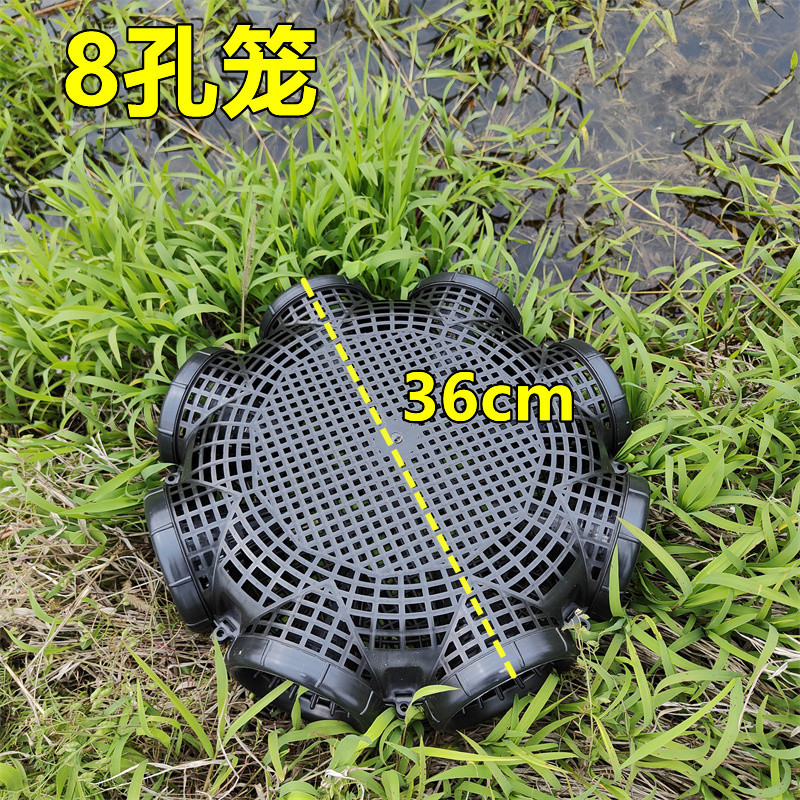 حاوية شبكة سمك بلاستيكية متينة - مراجعة Aquarium Fish Trap وسعره