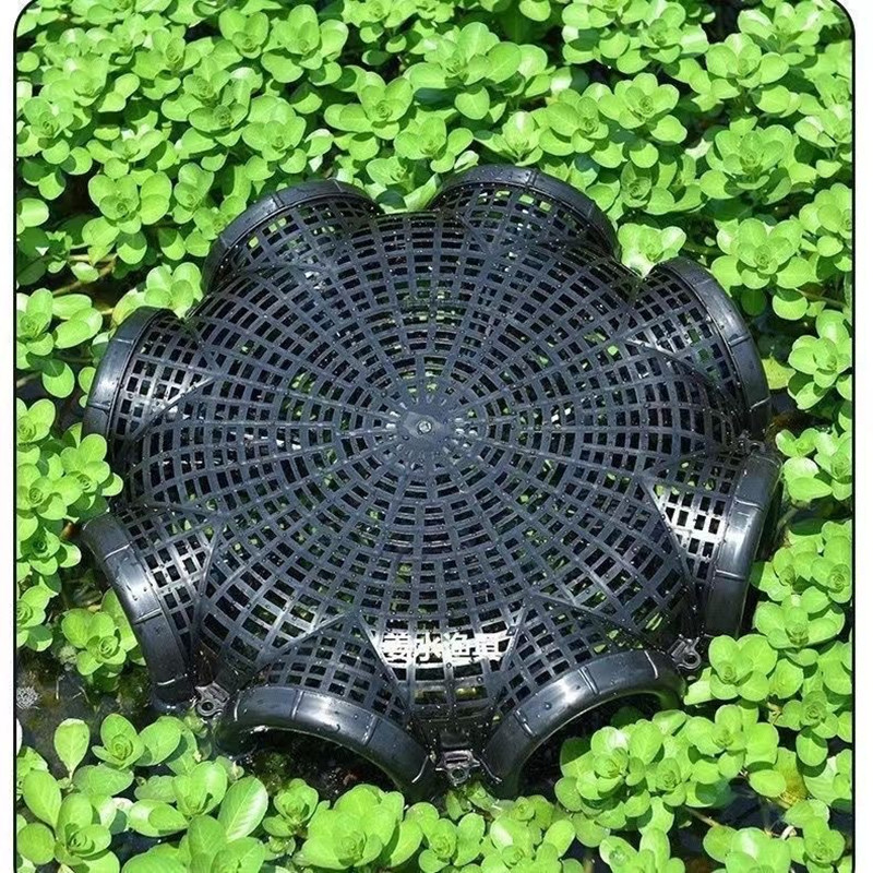 حاوية شبكة سمك بلاستيكية متينة - مراجعة Aquarium Fish Trap وسعره